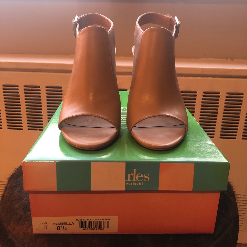 Charles by Charles David Isabella